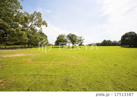 奈良県奈良市奈良公園の芝生と木と青空の風景 17513387