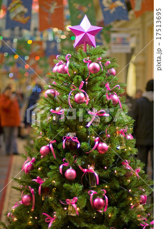 Christmas tree Christmas tree 17513695