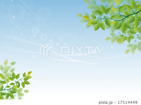 木の葉と薄青空 木の葉と薄青空 17514449