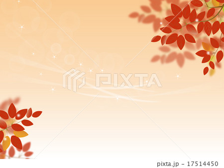 紅葉と夕暮れ 17514450