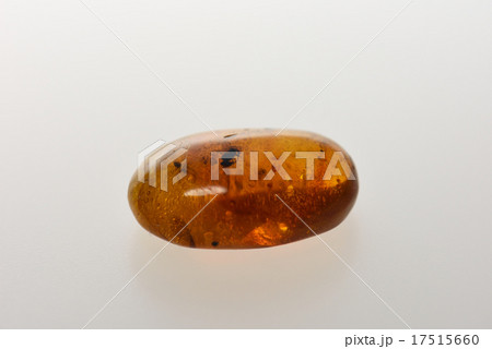 虫入り琥珀 17515660
