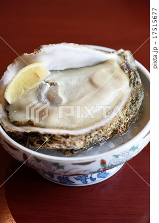 岩牡蠣 岩牡蠣 17515677