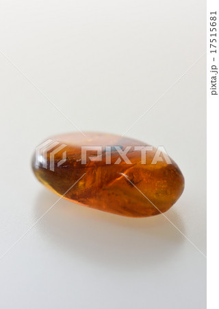 虫入り琥珀 17515681