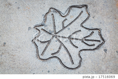Leaf impression in stone Leaf impression in stone 17516069