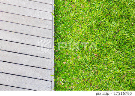 The Walk path in the park with green grass 17516790