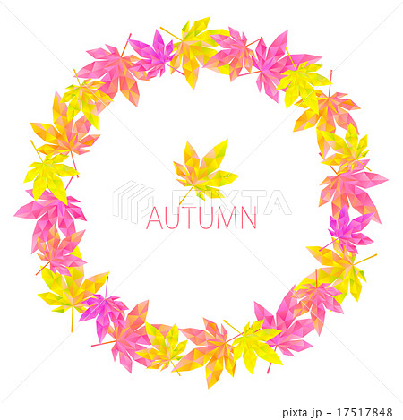 ポリゴンフレーム もみじ6 ポリゴンフレーム もみじ6 17517848