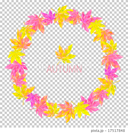 ポリゴンフレーム もみじ6 ポリゴンフレーム もみじ6 17517848