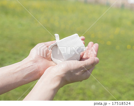 家の置物をのせた手 17518524