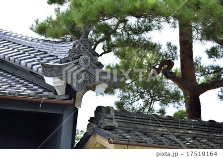 卯建の町並み（岐阜県美濃市） 17519164