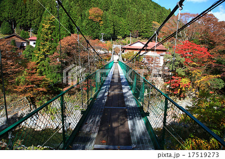 みたらい渓谷　紅葉　天川村　奈良県 17519273