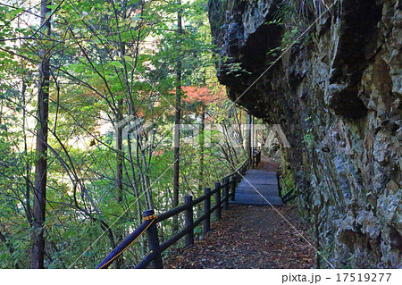 みたらい渓谷　紅葉　天川村　奈良県 17519277