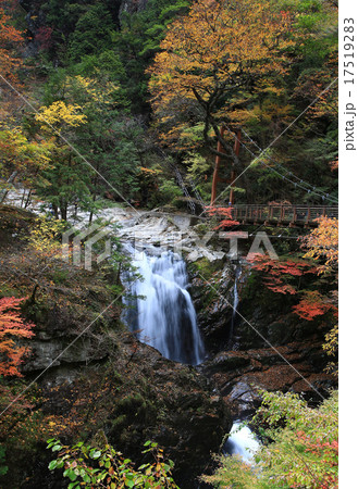 みたらい渓谷　紅葉　天川村　奈良県 17519283