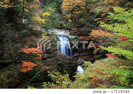 みたらい渓谷　紅葉　天川村　奈良県 17519286