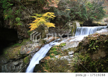 みたらい渓谷　紅葉　天川村　奈良県 17519288