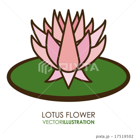 Flower design over white background vector illustration Flower design over white background vector illustration 17519502