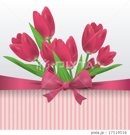 tulip flower 17519516