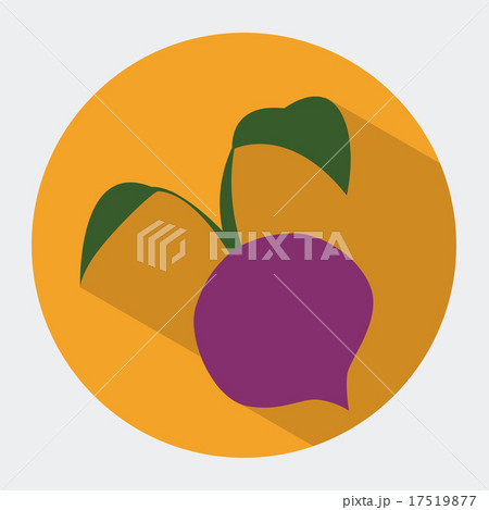 Food design over white background vector illustration Food design over white background vector illustration 17519877