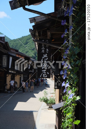 長野の夏その６ 17520050