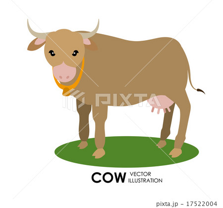 India design over white background vector illustration 17522004