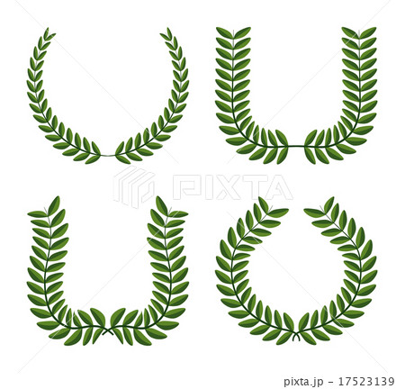 wreath design over white background vector illustration wreath design over white background vector illustration 17523139