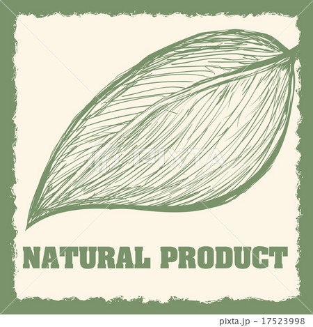natural product 17523998