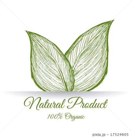 natural product 17524605
