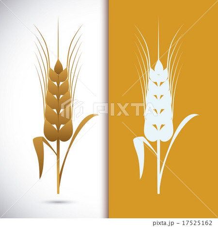 Barley Icons Barley Icons 17525162