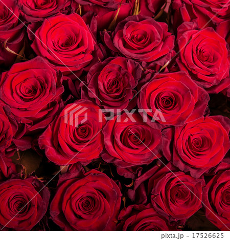 Abstract background of roses Abstract background of roses 17526625