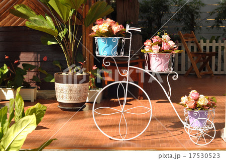 Beautiful spring blossom in the coffe shop. 17530523