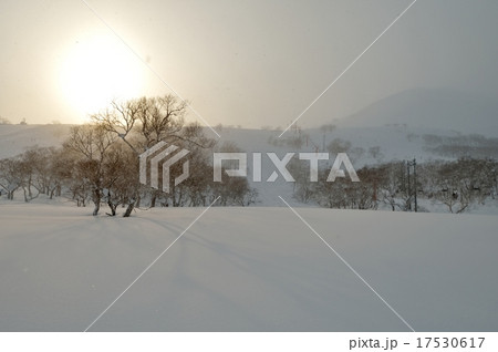 ニセコ 夕暮れ時のスキー場 ニセコ 夕暮れ時のスキー場 17530617