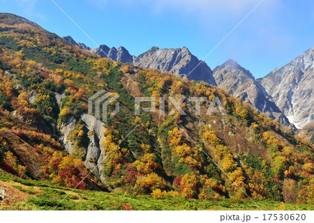 紅葉　秋の八方尾根 17530620