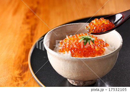 いくら丼 17532105