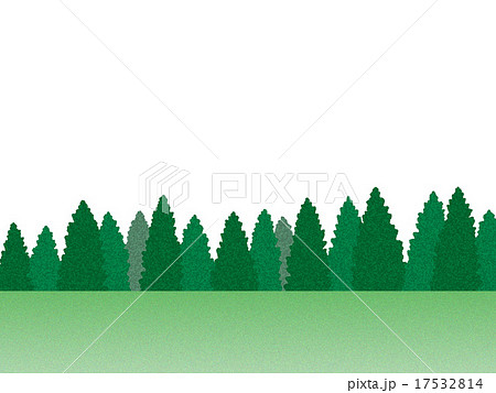 立ち並ぶ樹木 17532814