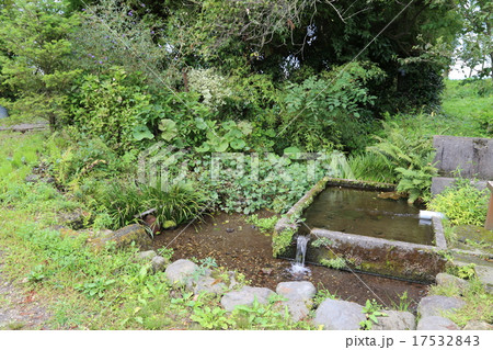 水基の写真 17532843