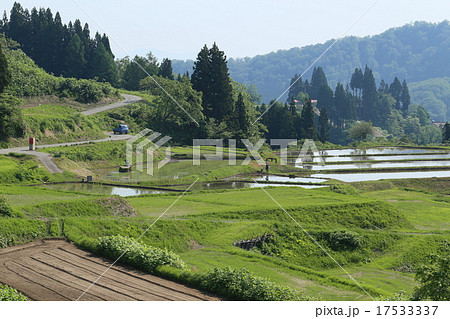 田植え風景 田植え風景 17533337