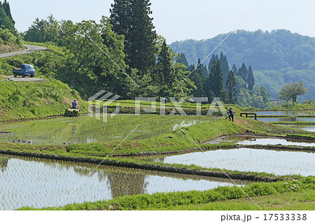 田植え風景 17533338