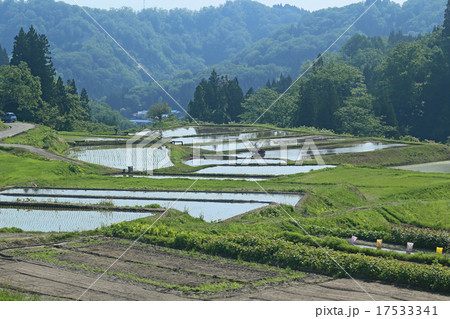 田植え風景 17533341