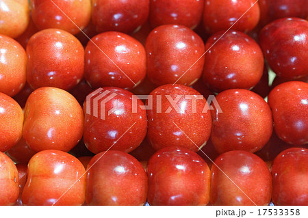 サクランボの贈答品 17533358