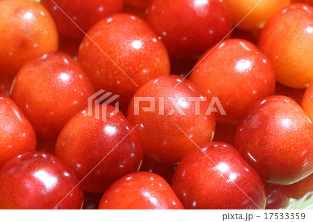 サクランボの贈答品 17533359