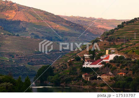 river Douro valley, Portugal 17533707