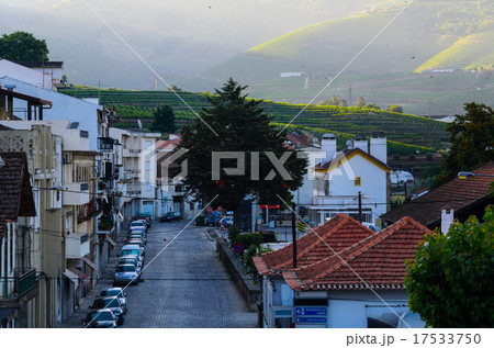 river Douro valley, Portugal 17533750