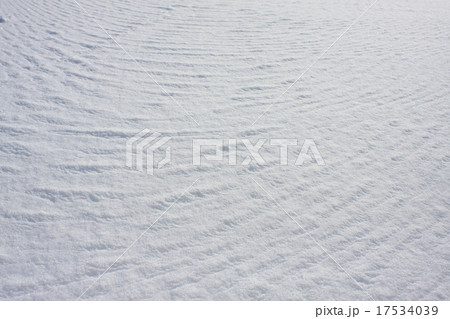 雪と風が造った芸術 17534039