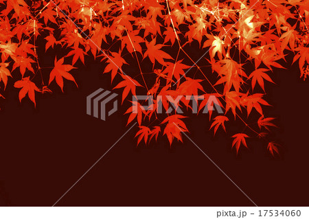 秋のイメージ_背景 17534060