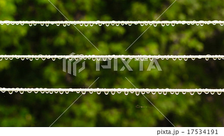 Strip rope for washing laundry with rain drops outdoor. 17534191