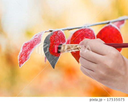 paintbrush paints frozen leaves in red colour 17535075