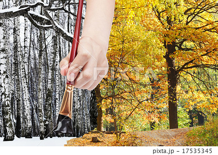 paintbrush paints black bare trees in winter fores 17535345