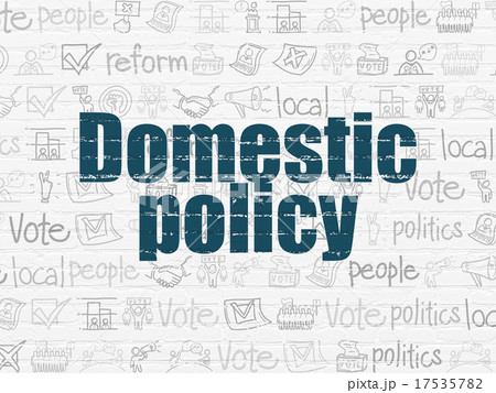 Political concept: Domestic Policy on wall Political concept: Domestic Policy on wall 17535782