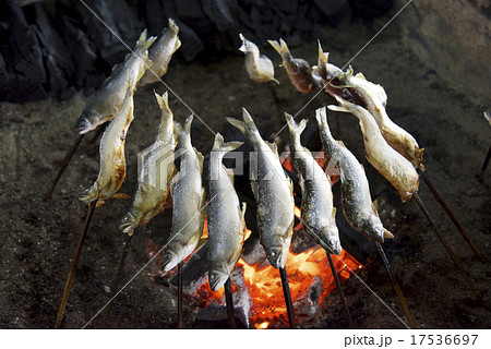 鮎の塩焼きの写真素材