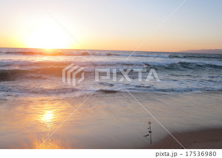 ロサンゼルスの夕日 17536980