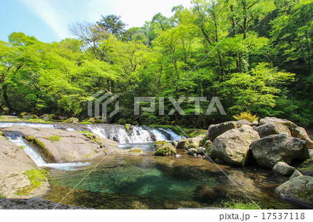 菊池渓谷 17537118